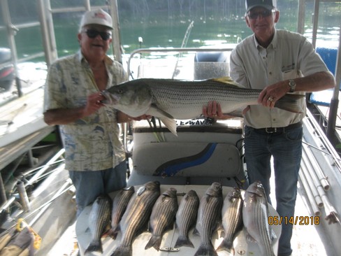 Nice Striped Bass